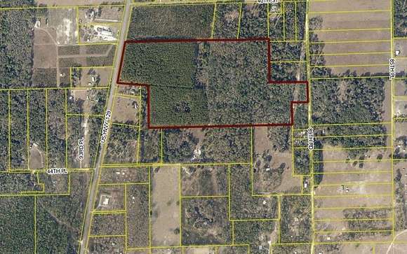 80 Acres of Land for Sale in Live Oak, Florida