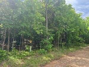 21.7 Acres of Land for Sale in Jasper, Arkansas