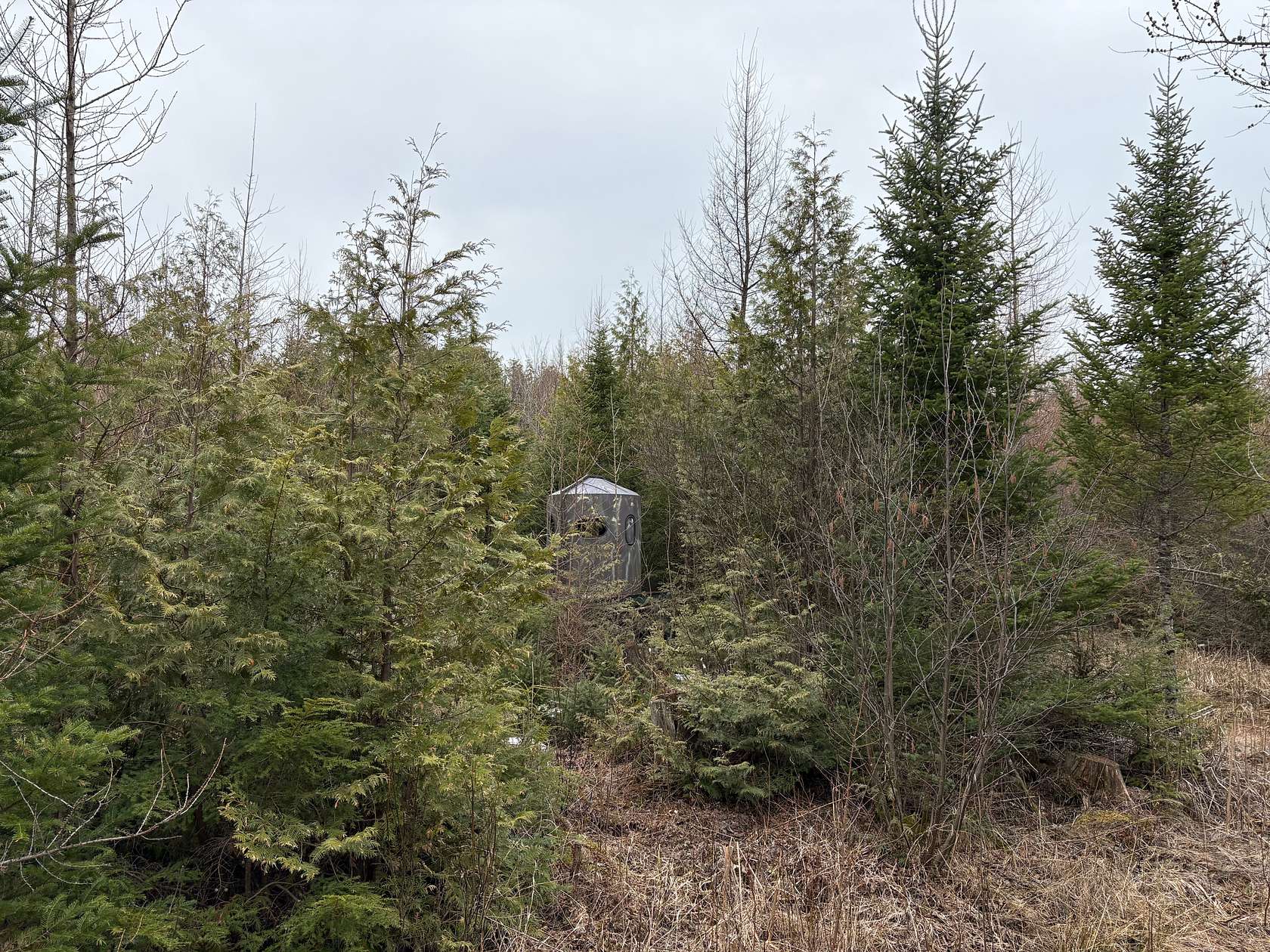 60 Acres of Recreational Land for Sale in Gresham, Wisconsin