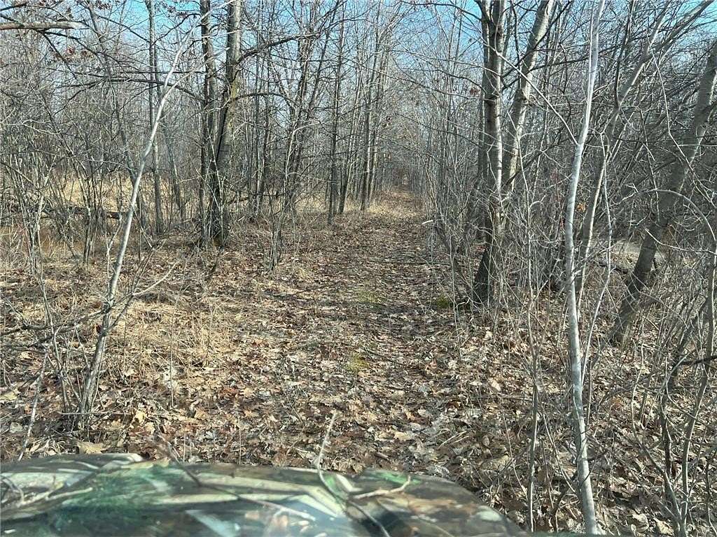 40 Acres of Recreational Land for Sale in Munch Township, Minnesota