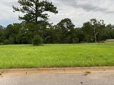 1 Acre of Residential Land for Sale in Midland City, Alabama