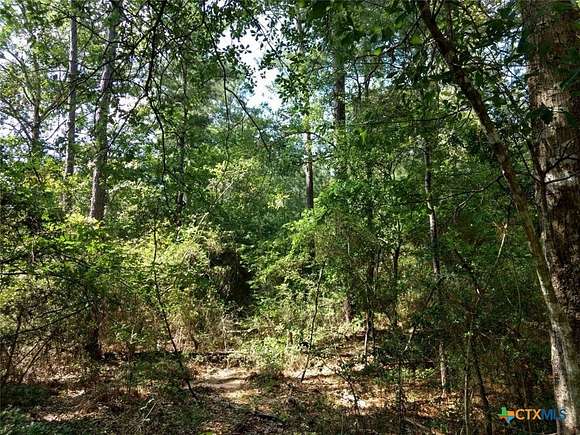 2 Acres of Residential Land for Sale in Navasota, Texas