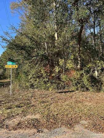 42.3 Acres of Land for Sale in Cantonment, Florida