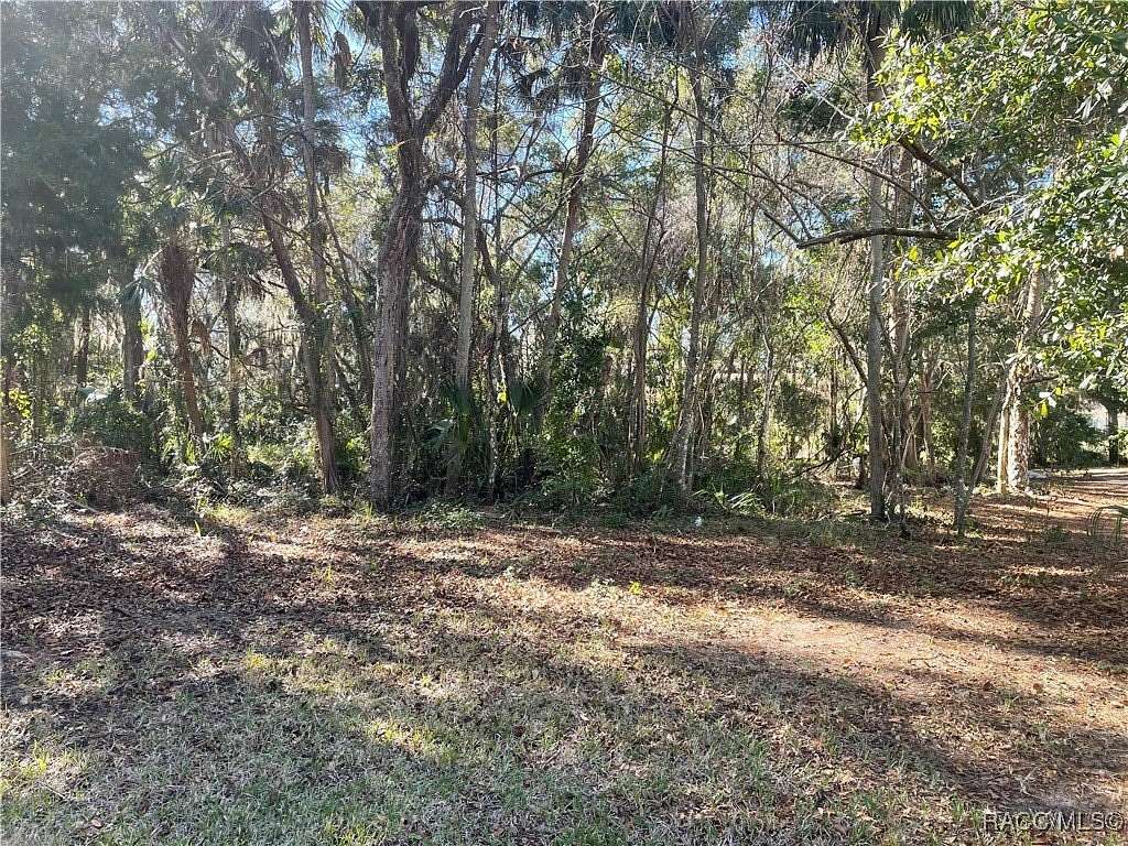 0.32 Acres of Residential Land for Sale in Homosassa, Florida