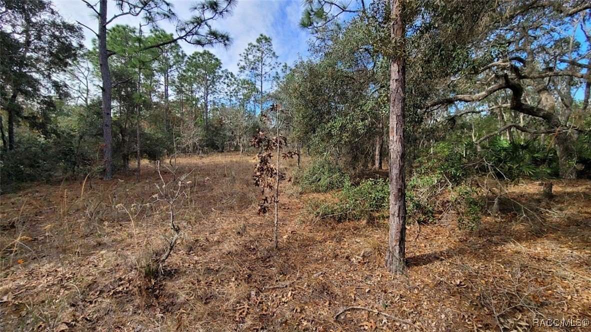 1.18 Acres of Residential Land for Sale in Lecanto, Florida