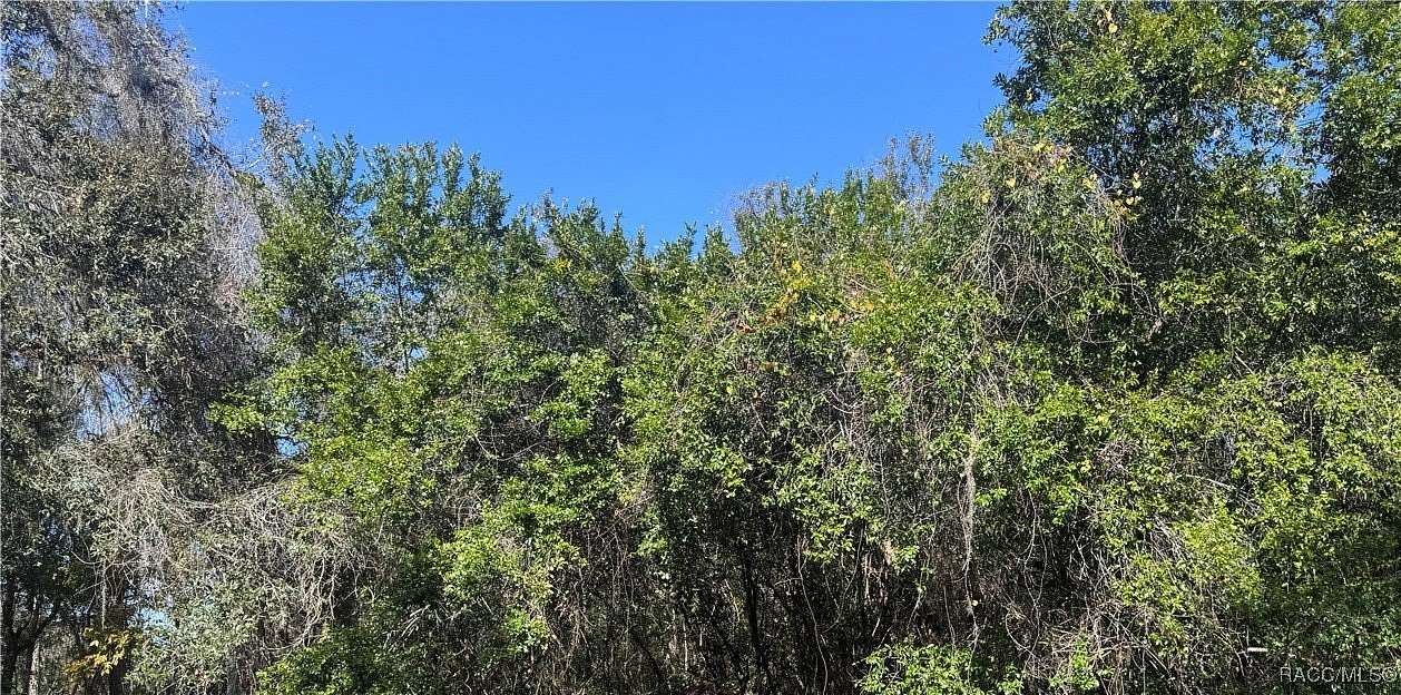 0.26 Acres of Residential Land for Sale in Inverness, Florida