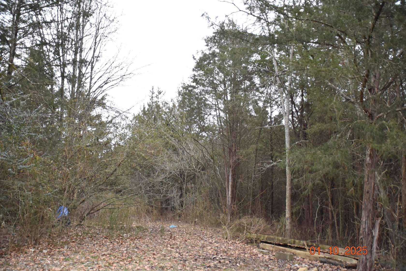 9.94 Acres of Land for Sale in Whitesburg, Tennessee