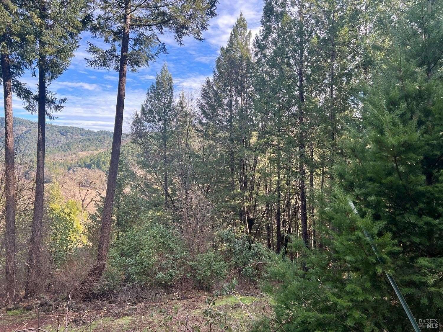 3.508 Acres of Residential Land for Sale in Laytonville, California