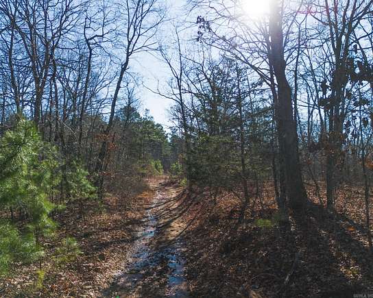 25 Acres of Land for Sale in Scotland, Arkansas