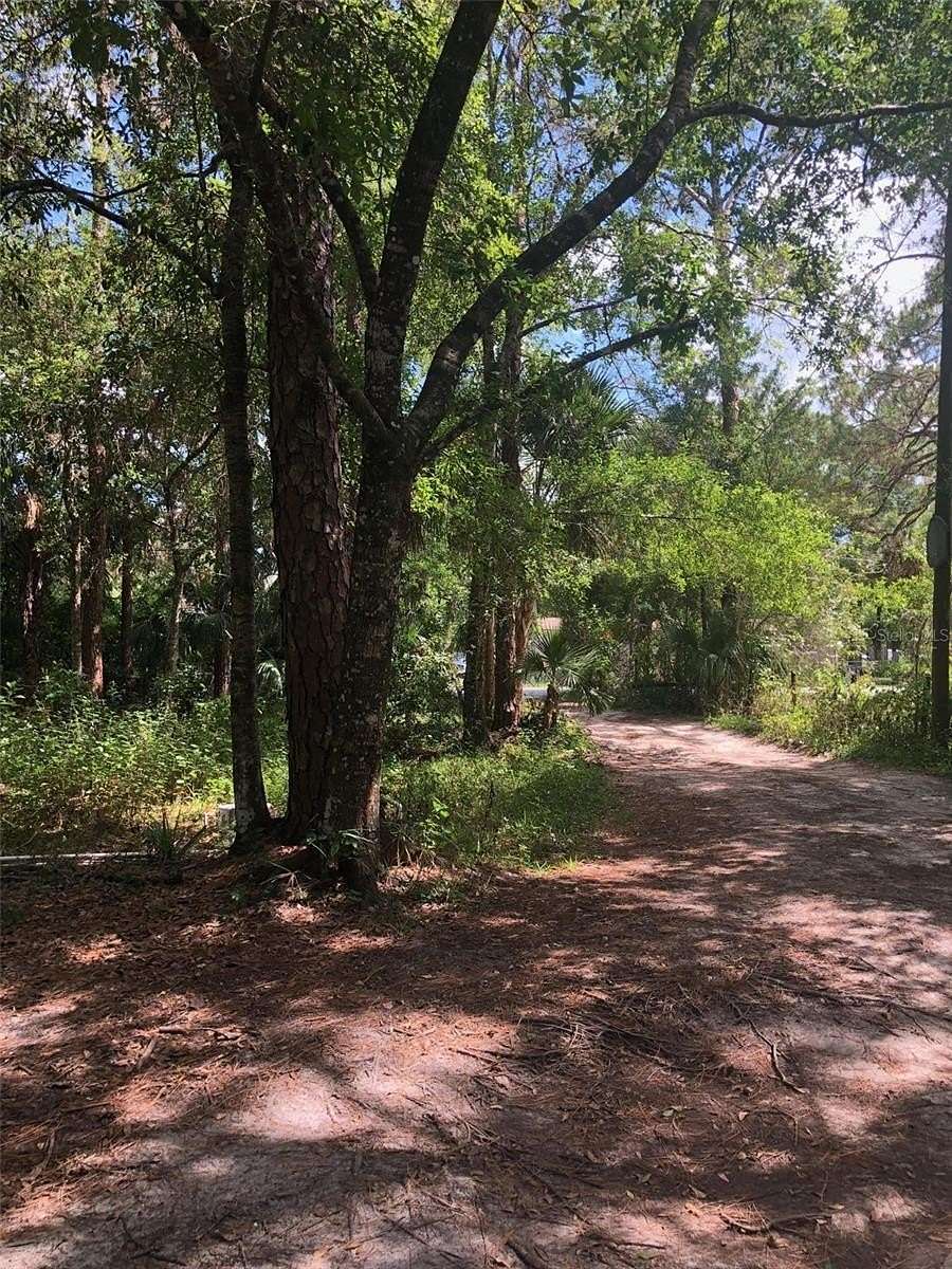 1 Acre of Residential Land for Sale in Christmas, Florida