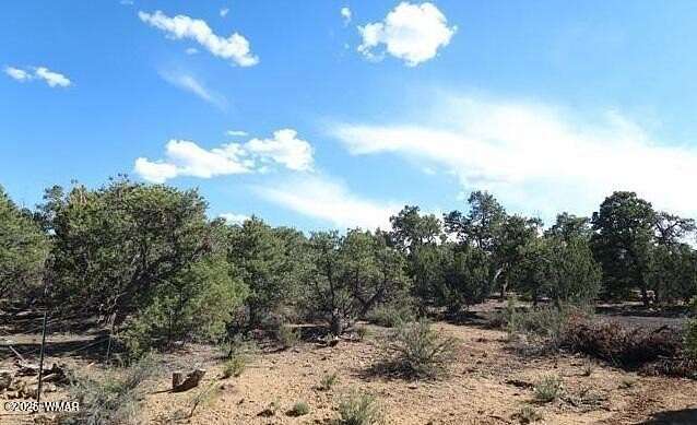 1.14 Acres of Residential Land for Sale in Concho, Arizona