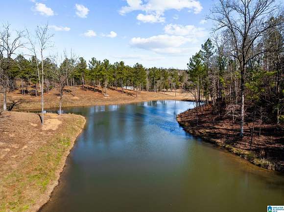 31.01 Acres of Land for Sale in Calera, Alabama