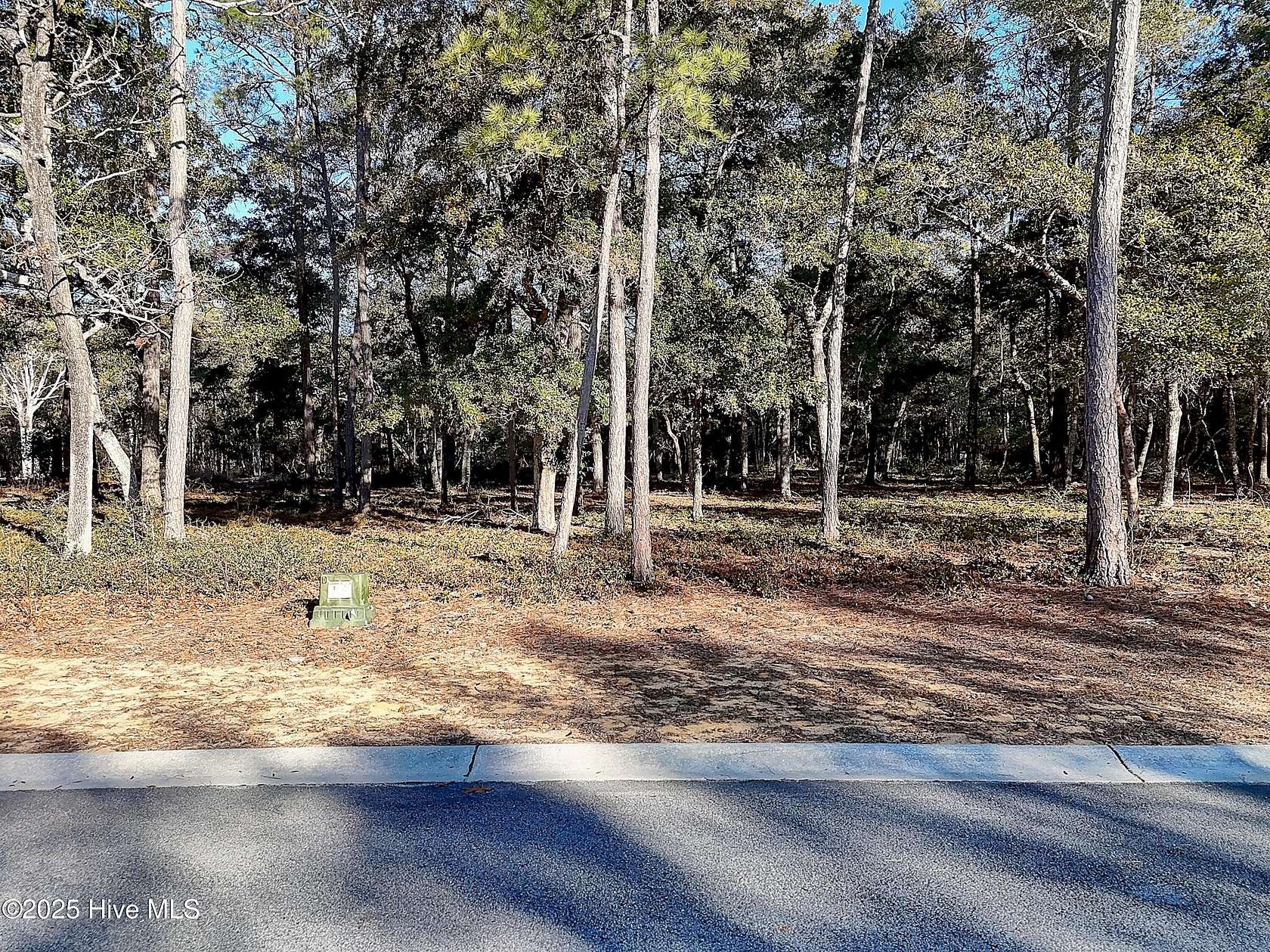 0.15 Acres of Residential Land for Sale in Supply, North Carolina