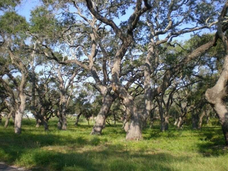 1.68 Acres of Land for Sale in Rockport, Texas