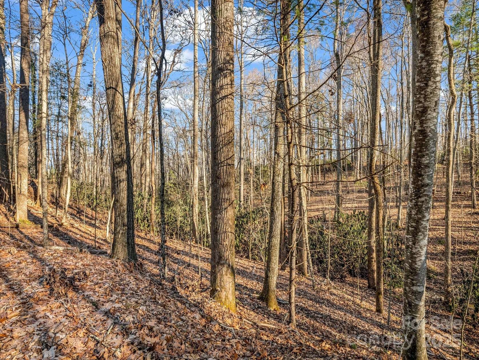 0.67 Acres of Residential Land for Sale in Hendersonville, North Carolina