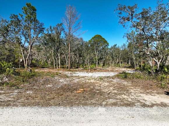 1.02 Acres of Residential Land for Sale in Steinhatchee, Florida