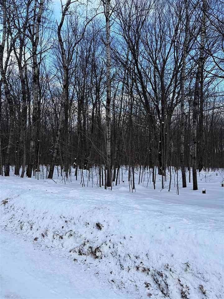 0.5 Acres of Residential Land for Sale in Mancelona, Michigan