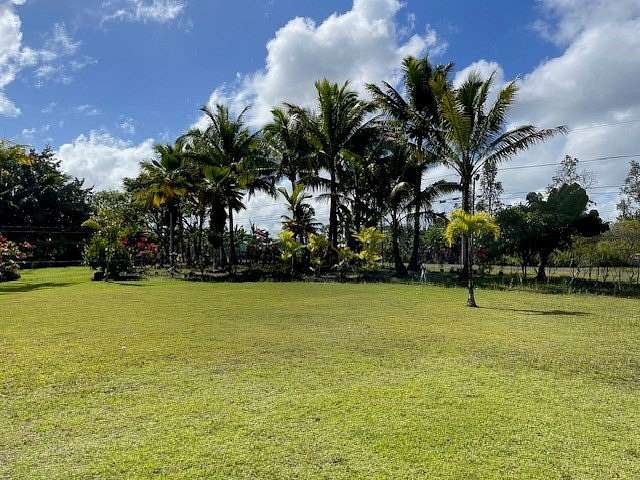 1 Acre of Land for Sale in Keaau, Hawaii