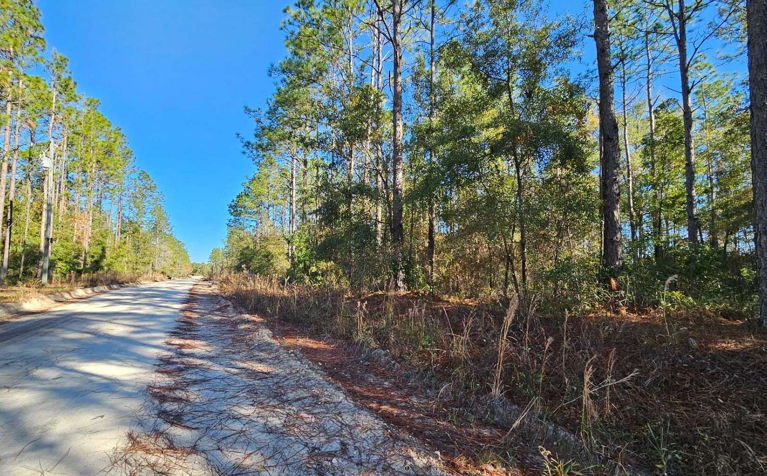 1.03 Acres of Residential Land for Sale in Bell, Florida