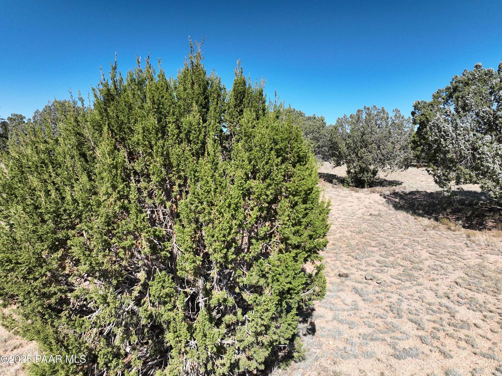 5 Acres of Residential Land for Sale in Seligman, Arizona