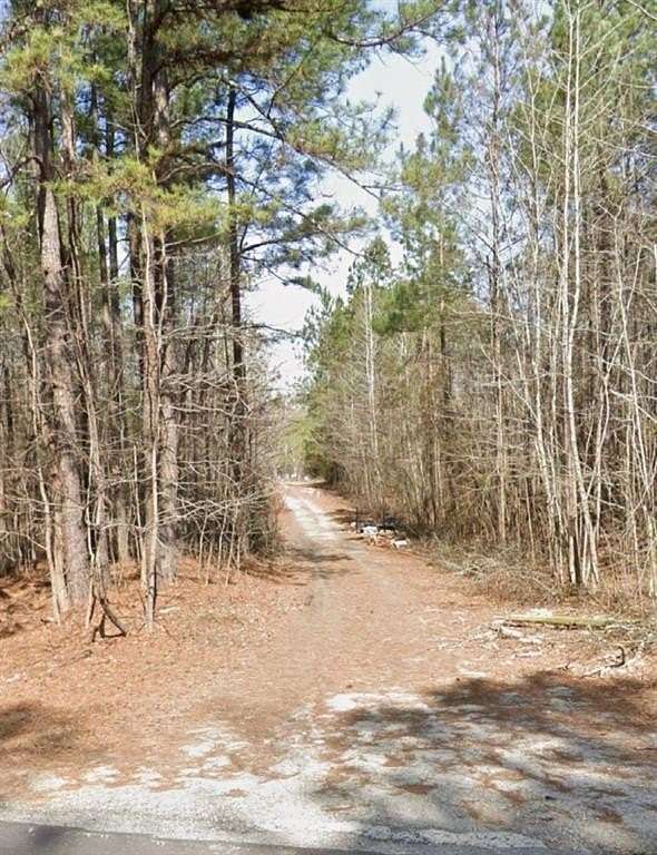 26.03 Acres of Land for Sale in Palmetto, Georgia