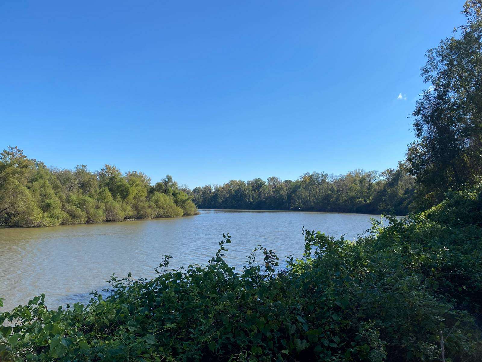 220 Acres of Recreational Land for Sale in Tensaw, Alabama