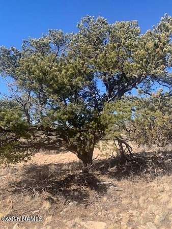 36 Acres of Recreational Land for Sale in Williams, Arizona