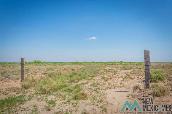 29.905 Acres of Land for Sale in Hagerman, New Mexico