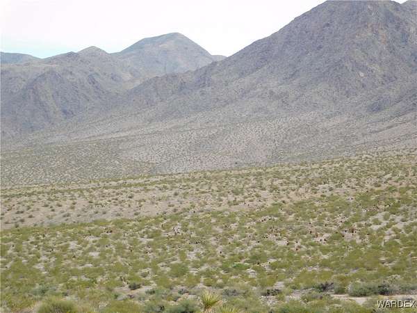 39 Acres of Recreational Land for Sale in Meadview, Arizona
