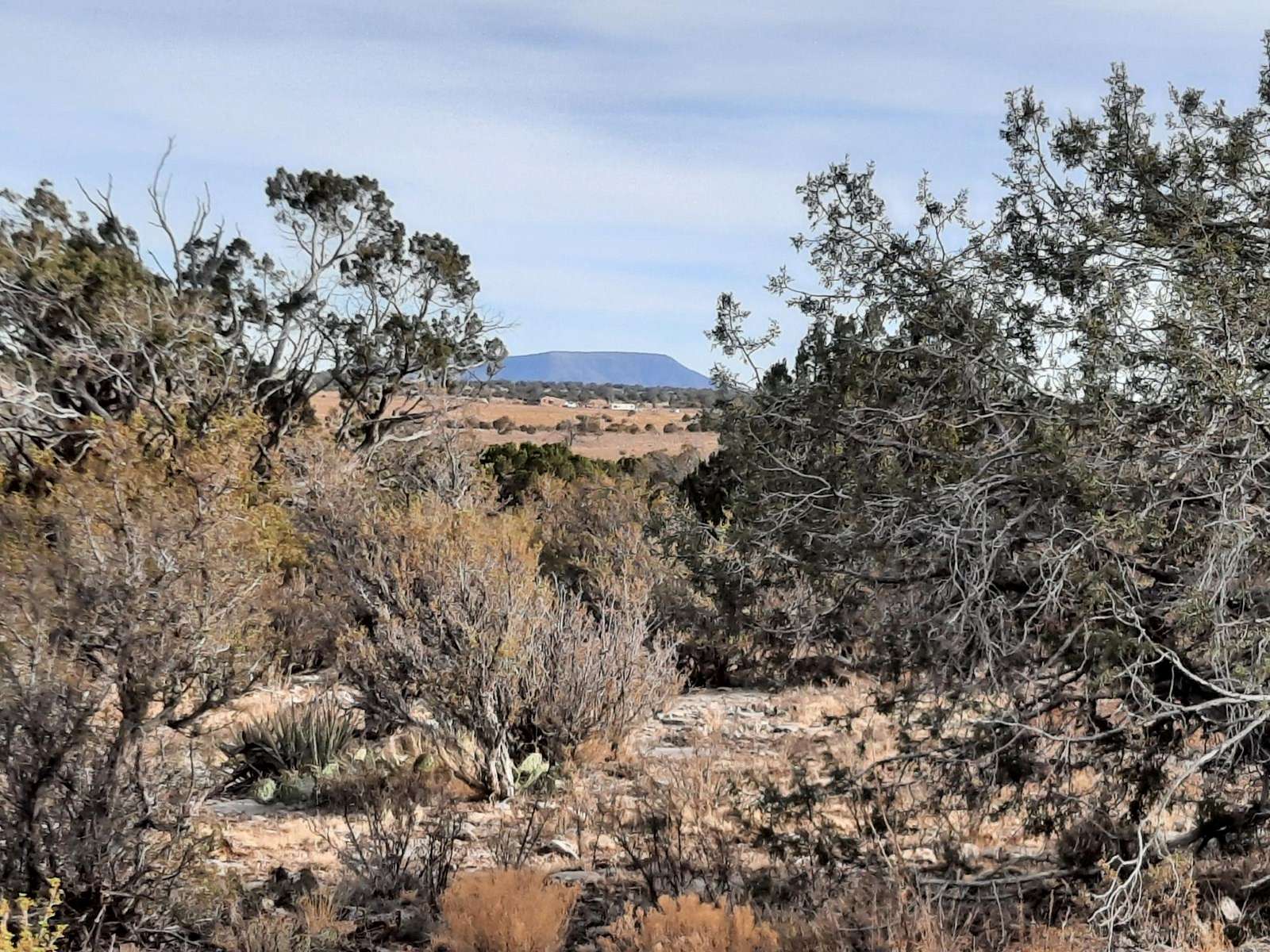 40 Acres of Recreational Land & Farm for Sale in Seligman, Arizona