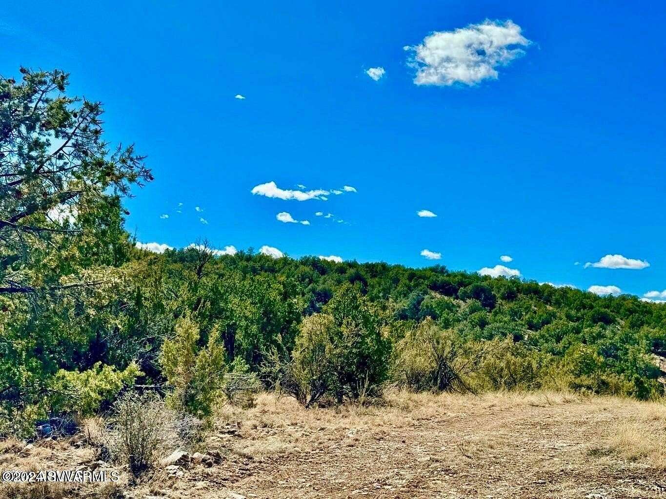 24.5 Acres of Recreational Land for Sale in Seligman, Arizona