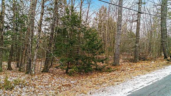 41.2 Acres of Land for Sale in Manchester, Maine