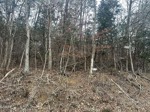 5.57 Acres of Land for Sale in White Pine, Tennessee