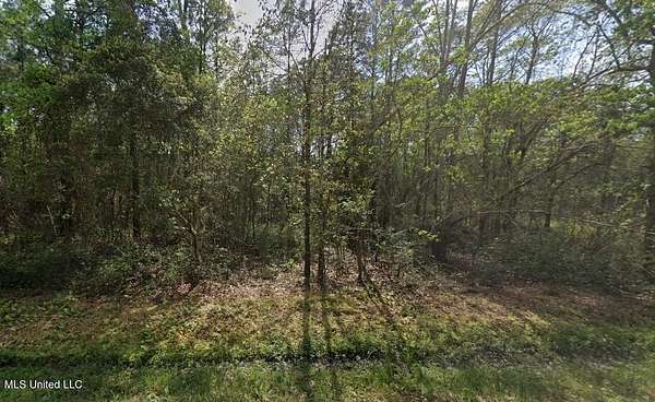 0.12 Acres of Residential Land for Sale in Bay St. Louis, Mississippi