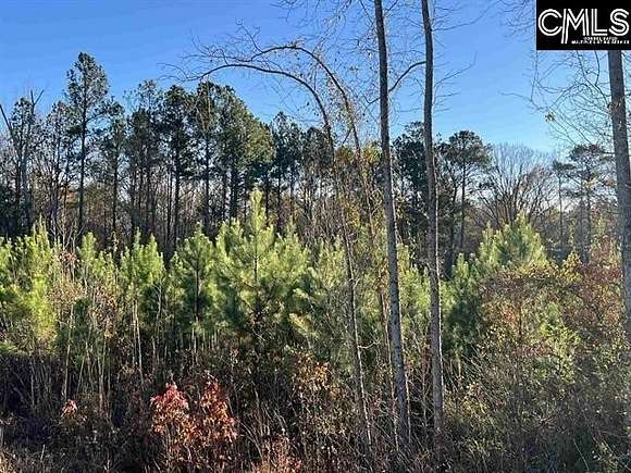 6 Acres of Residential Land for Sale in Newberry, South Carolina