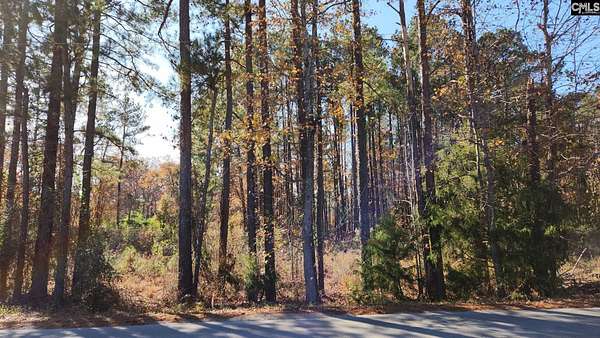 0.58 Acres of Land for Sale in Lexington, South Carolina