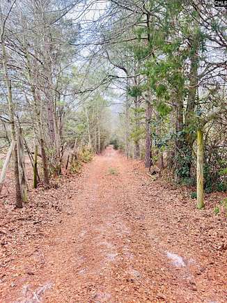 43.99 Acres of Recreational Land for Sale in Leesville, South Carolina