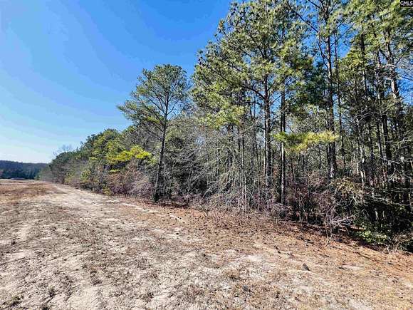 29.67 Acres of Land for Sale in Leesville, South Carolina