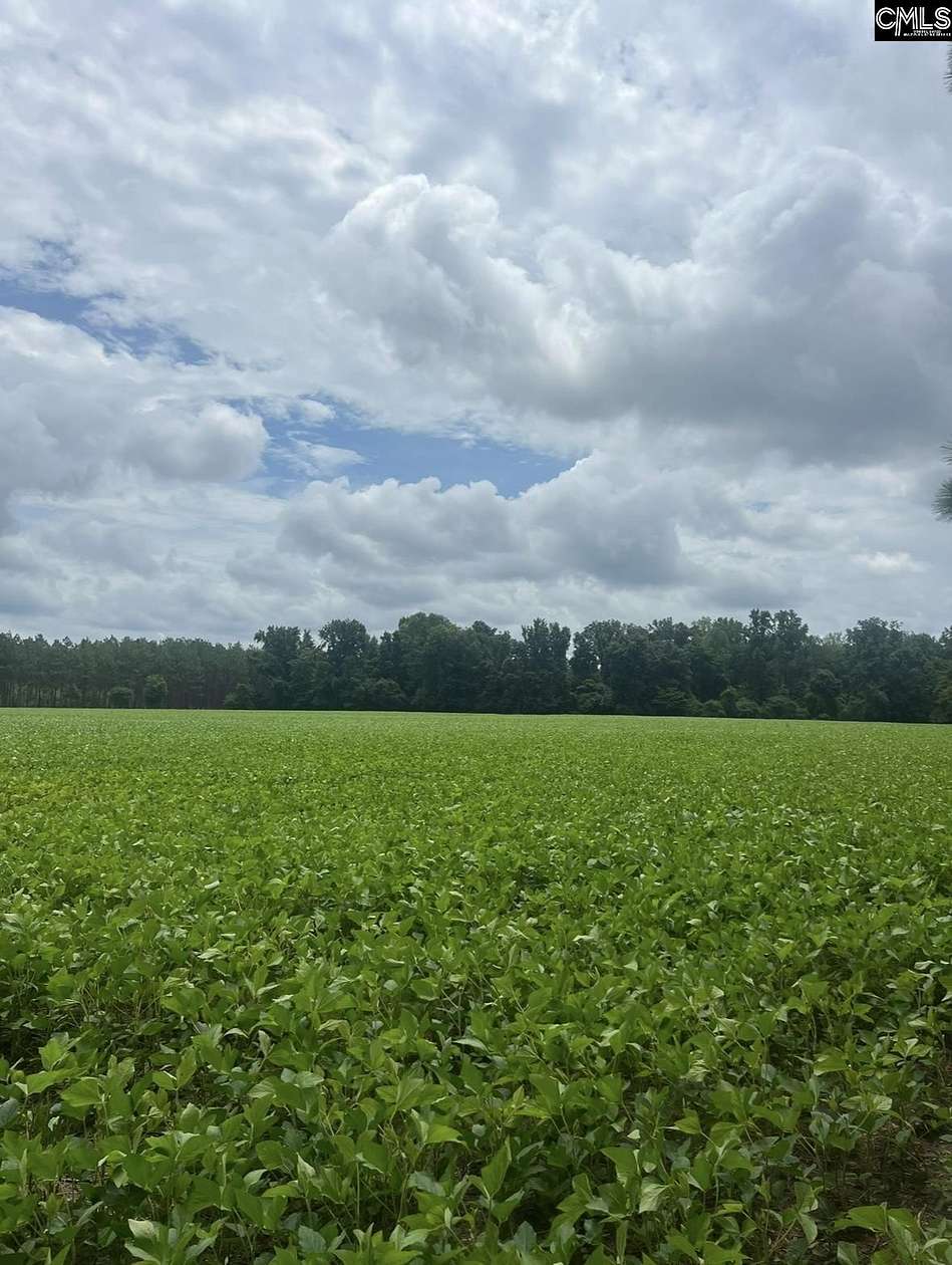 48.6 Acres of Recreational Land & Farm for Sale in Turbeville, South Carolina