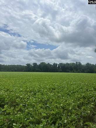 48.6 Acres of Recreational Land & Farm for Sale in Turbeville, South Carolina