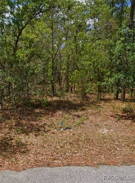 0.35 Acres of Residential Land for Sale in Homosassa, Florida