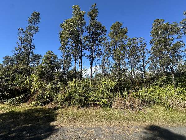 1 Acre of Land for Sale in Mountain View, Hawaii