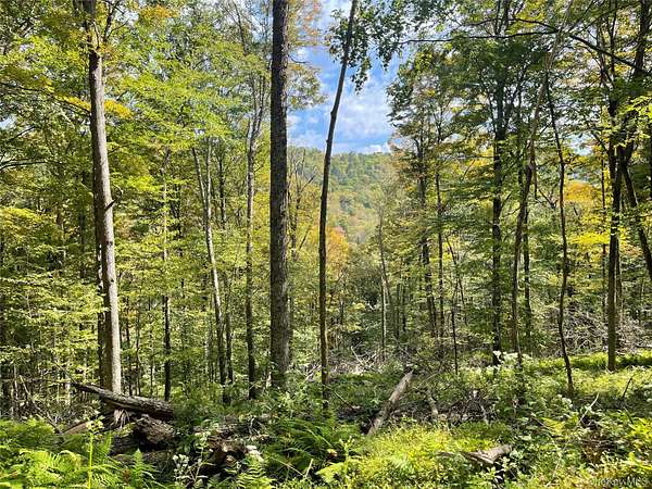 173 Acres of Recreational Land for Sale in Hancock, New York