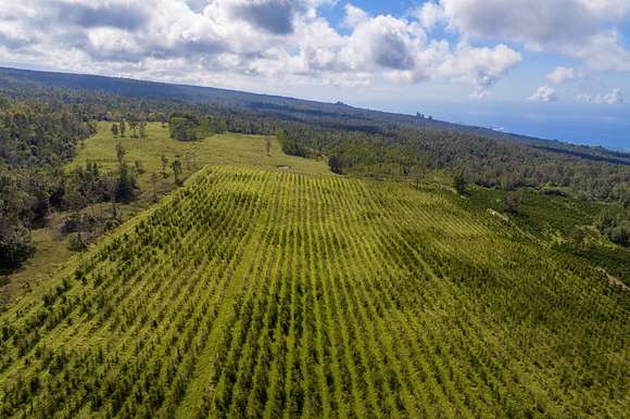 20.024 Acres of Agricultural Land for Sale in Holualoa, Hawaii