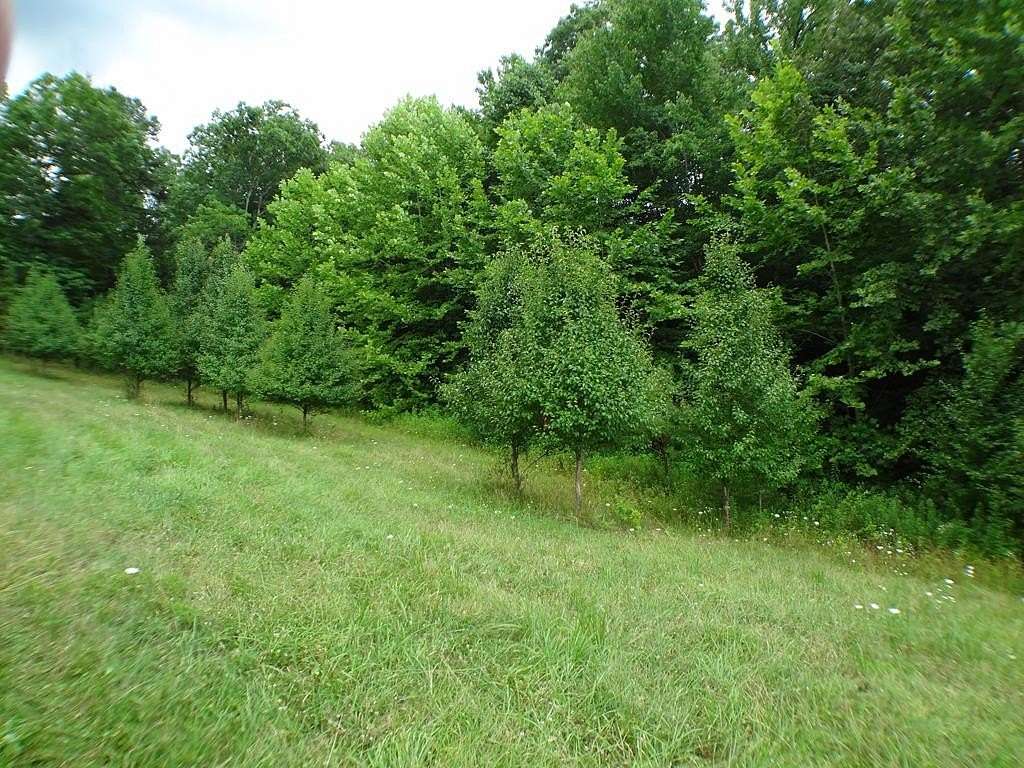 0.869 Acres of Residential Land for Sale in Franklin Township, North Carolina