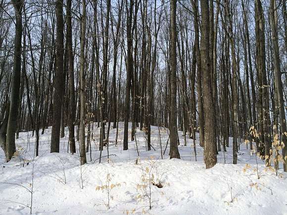 1.88 Acres of Residential Land for Sale in Wolverine, Michigan