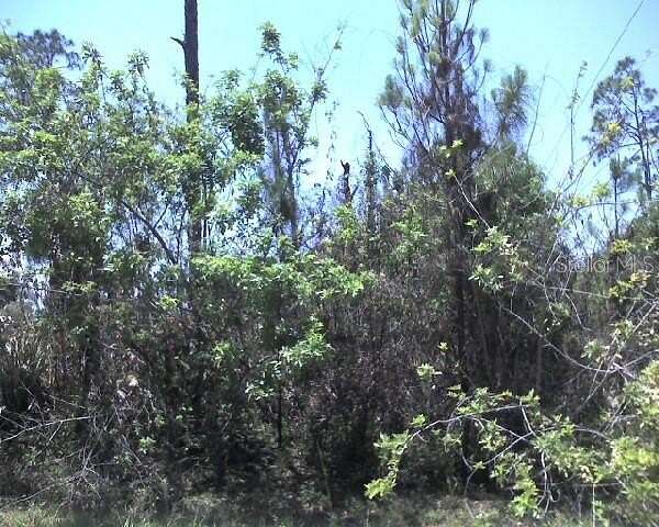 0.23 Acres of Land for Sale in Port Charlotte, Florida