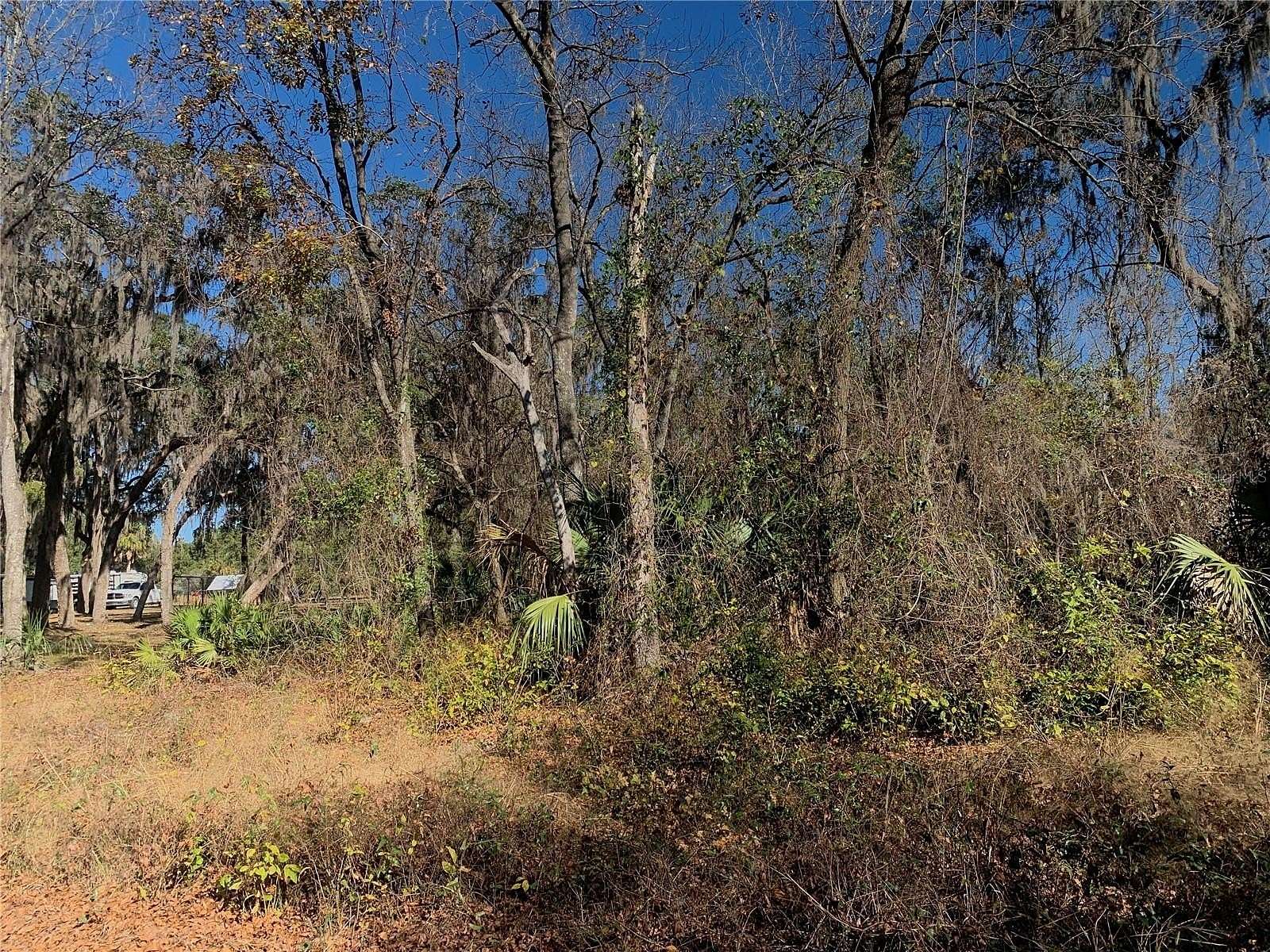 0.57 Acres of Residential Land for Sale in Hawthorne, Florida