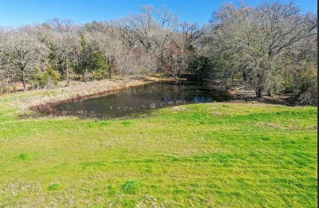 12.1 Acres of Recreational Land for Sale in Telephone, Texas