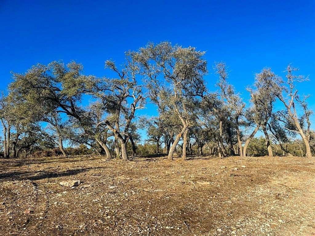 10.5 Acres of Land for Sale in Mountain Home, Texas